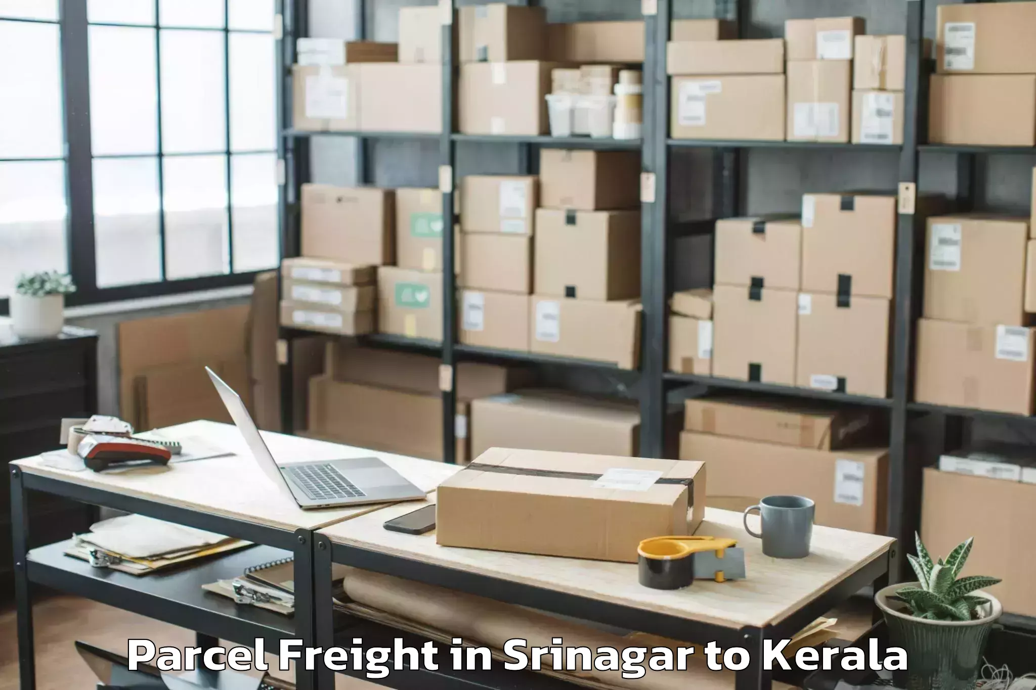 Leading Srinagar to Central University Of Kerala K Parcel Freight Provider